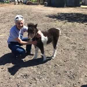 Meet your Posher, Becky